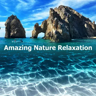 Amazing Nature Relaxation by The Puddle Recordings Project