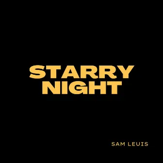 Starry Night by Sam Leuis