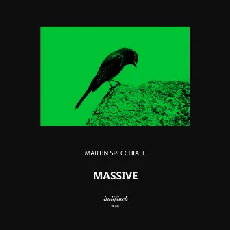 Massive by Martin Specchiale