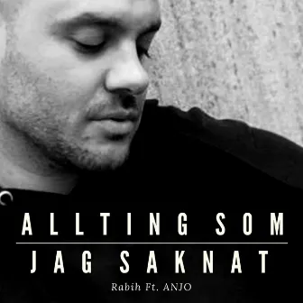 ALLTING SOM JAG SAKNAT by Rabih