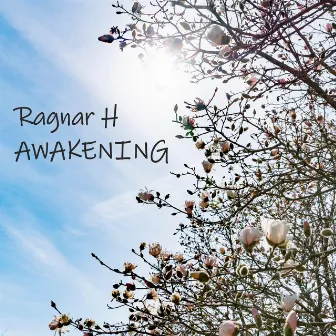 Awakening by Ragnar H