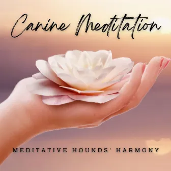 Paws and Harmony: Canine Meditation Music by Blissfulness