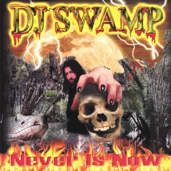 Never Is Now by Dj Swamp