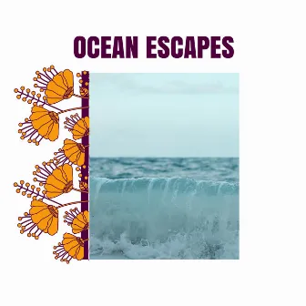 Ocean Escapes by Mesmerizing Waves Music Library