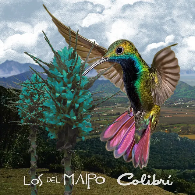 Colibrí