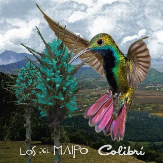 Colibrí by Los del Maipo