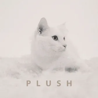 Plush by Super ED