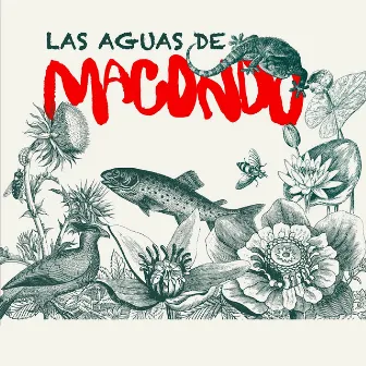 Las Aguas de Macondo by Las Áñez