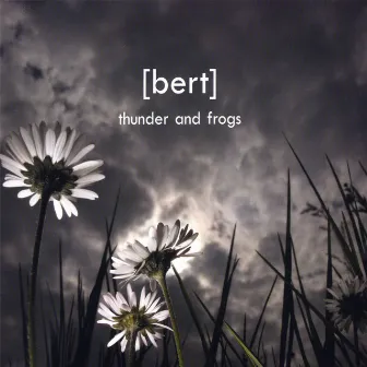 Thunder and Frogs by Bert