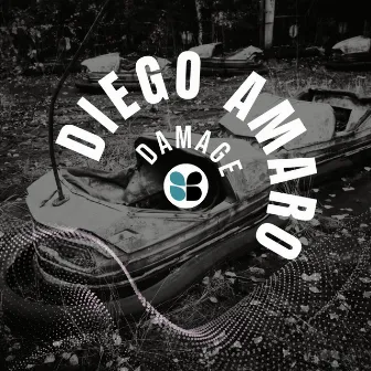 Damage by Diego Amaro