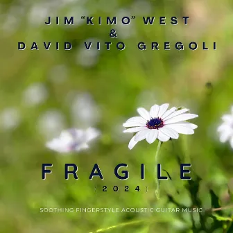 Fragile (2024) by David Vito Gregoli