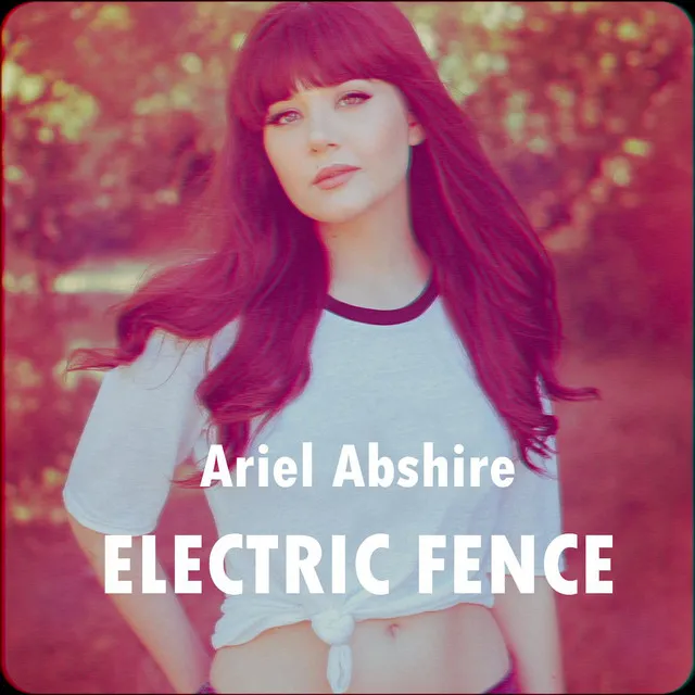 Electric Fence