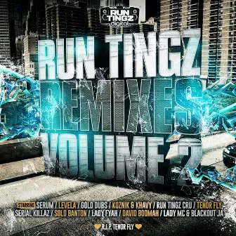 Run Tingz Remixes, Vol. 2 by Run Tingz Cru