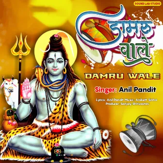 Damru Wale by Anil Pandit