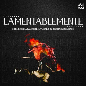 Lamentablemente by Jota Daniel