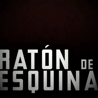 Raton de Esquina by Logetmay