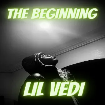 The Beginning by Lil Vedi