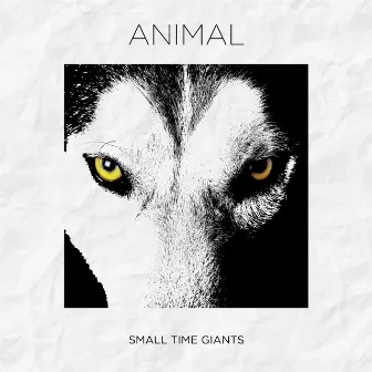 Animal by Small Time Giants