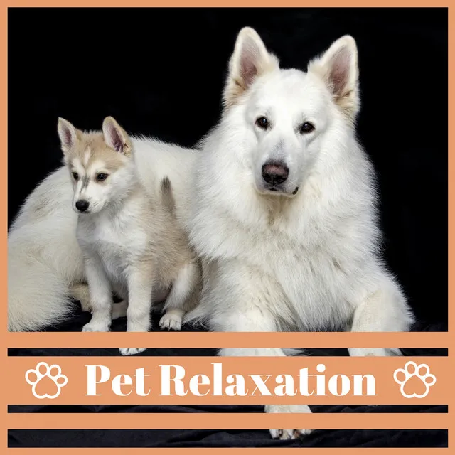 Pet Relaxation – Soothing Background Music for Dogs to Calm Down, Deep Sleep, Anti Stress Piano and Nature Sounds