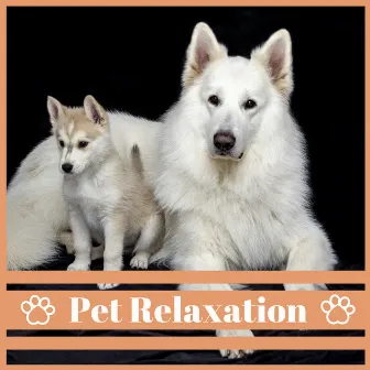 Pet Relaxation – Soothing Background Music for Dogs to Calm Down, Deep Sleep, Anti Stress Piano and Nature Sounds by Relaxing Music For Pets