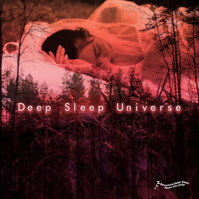 Deep Sleep Universe