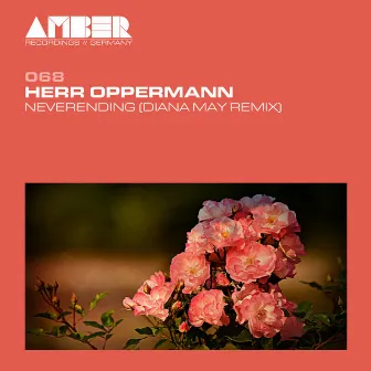 Never Ending (Diana May Remix) by Herr Oppermann