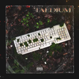 Taedium by SEB