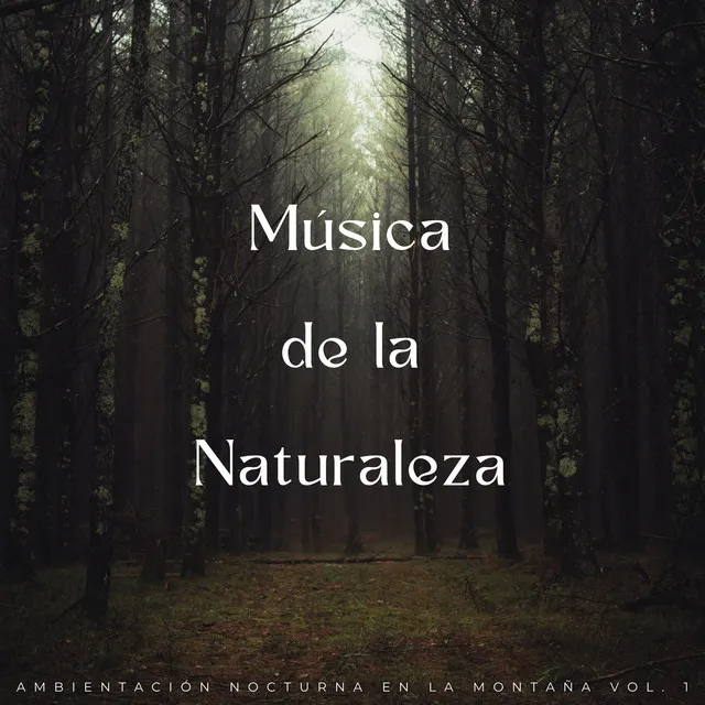 Música De La Naturaleza: Ambientación Nocturna En La Montaña Vol. 1