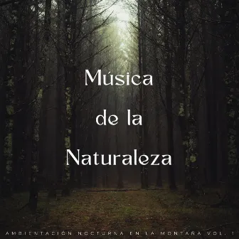 Música De La Naturaleza: Ambientación Nocturna En La Montaña Vol. 1 by Padres dormidos