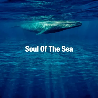 Soul Of The Sea by Rhodium Music