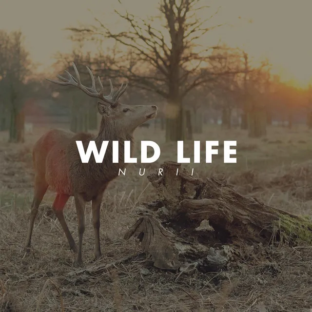 Wild Life