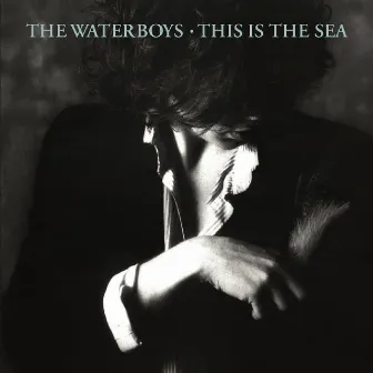 This Is the Sea (Deluxe Version) by The Waterboys