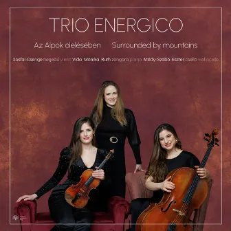 Surrounded by Mountains by Trio Energico