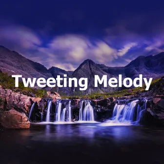 Tweeting Melody by Unknown Artist