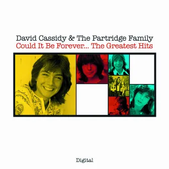 Could It Be Forever...The Greatest Hits by David Cassidy