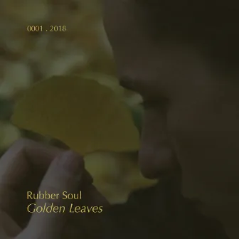 Golden Leaves by Rubber Soul