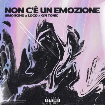 Non c'è un emozione by Gin Tonic