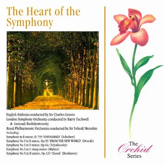 The Heart Of The Symphony by English Sinfonia