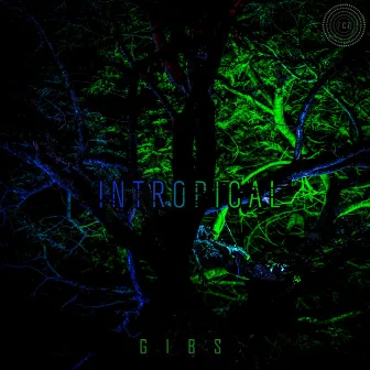 Intropical by GIBS