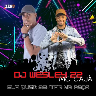 Ela Quer Sentar na Peça by DJ Wesley 22