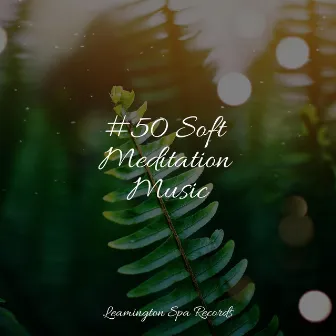 #50 Soft Meditation Music by Zen Music Garden