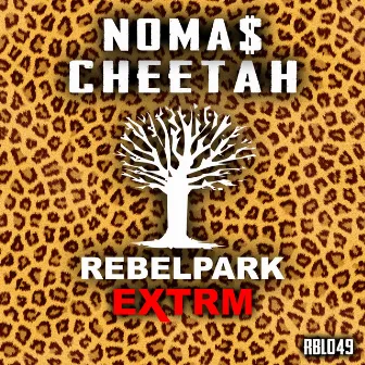 Cheetah by NOMA$