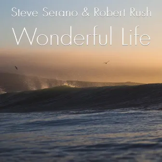 Wonderful Life by Steve Serano