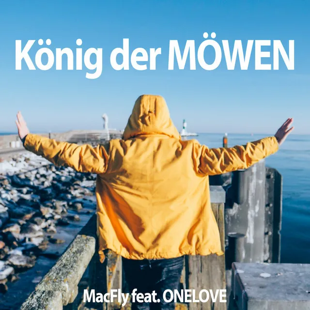 König der Möwen