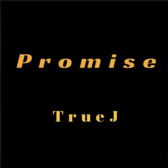 Promise by TrueJ