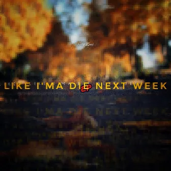 Like I'ma Die Next Week by Unknown Artist