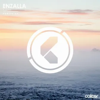 Purity EP by Enzalla