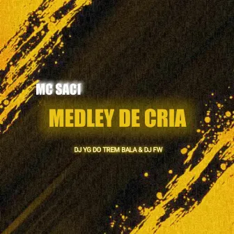 MEDLEY DE CRIA by DJ FW