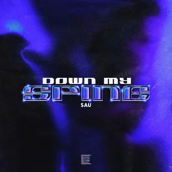 Down My Spine by SAU