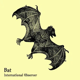 Bat by International Observer